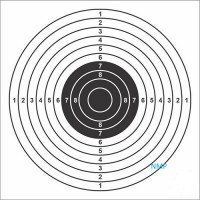 14cm White 10m (33ft) AIR GUN TARGETS Pack of 100 Card Targets 14cm